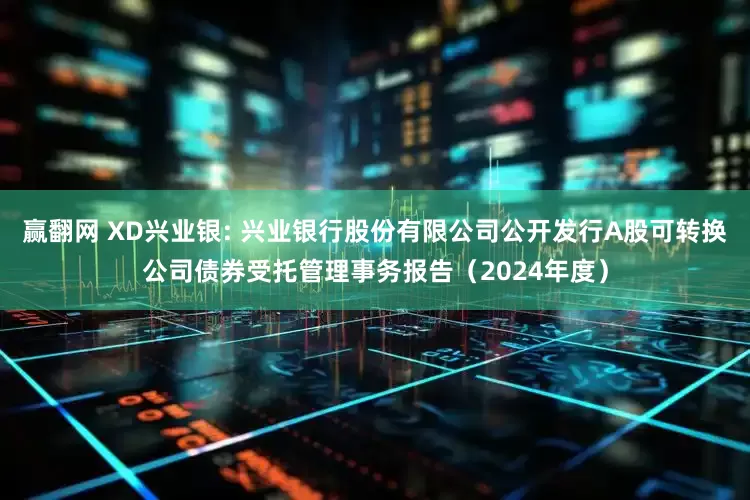 赢翻网 XD兴业银: 兴业银行股份有限公司公开发行A股可转换公司债券受托管理事务报告（2024年度）