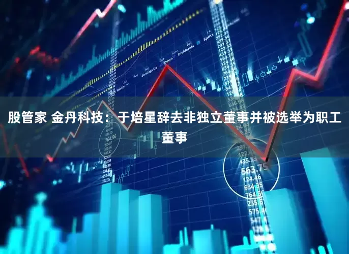 股管家 金丹科技：于培星辞去非独立董事并被选举为职工董事